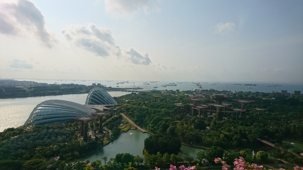 Vue de Marina Bay et Garden by the Bay, Singapour