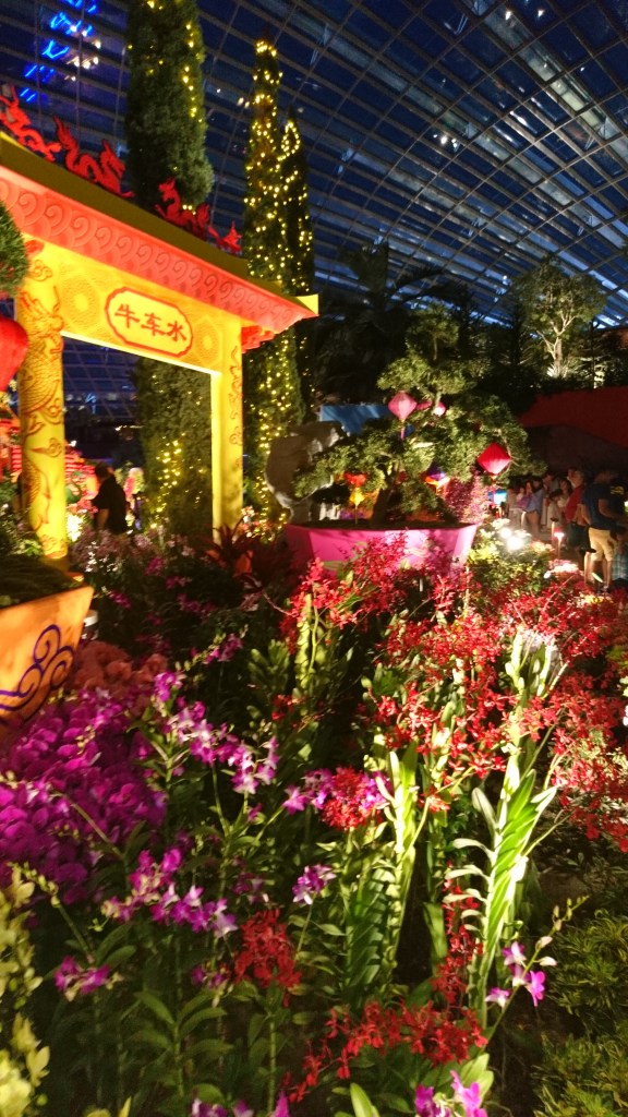 Arrangements floraux Flower Dome Singapour