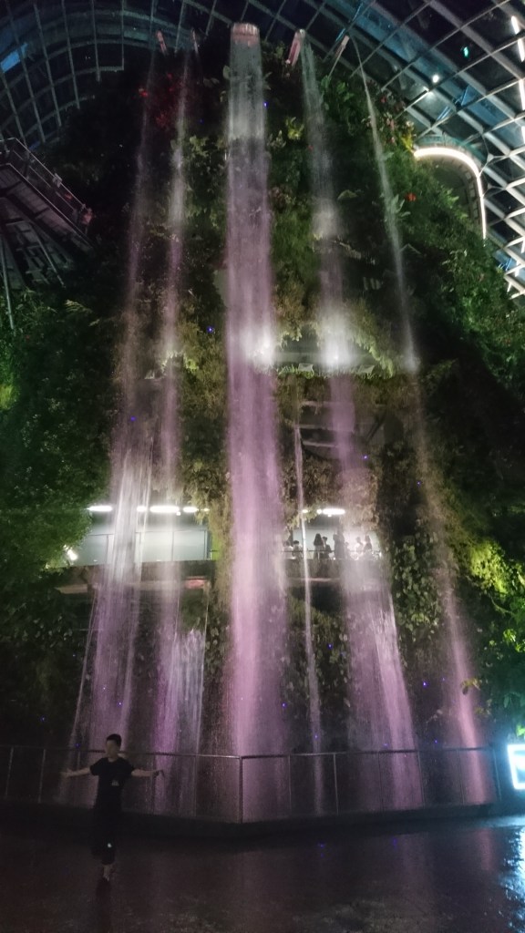 Cascade intérieur Cloud forest Singapour