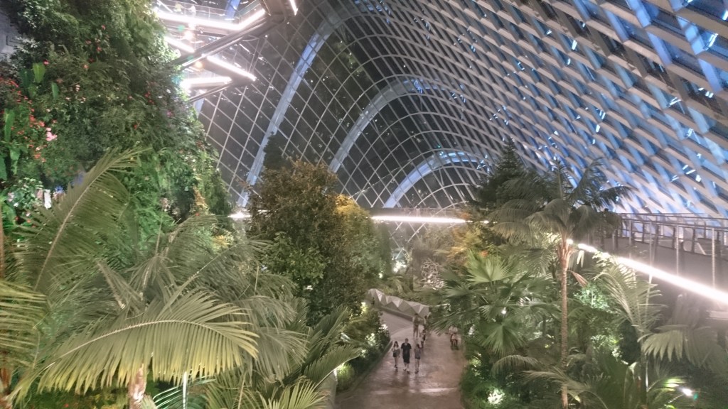 Arbres et chemin dans la serre de Cloud forest Singapour