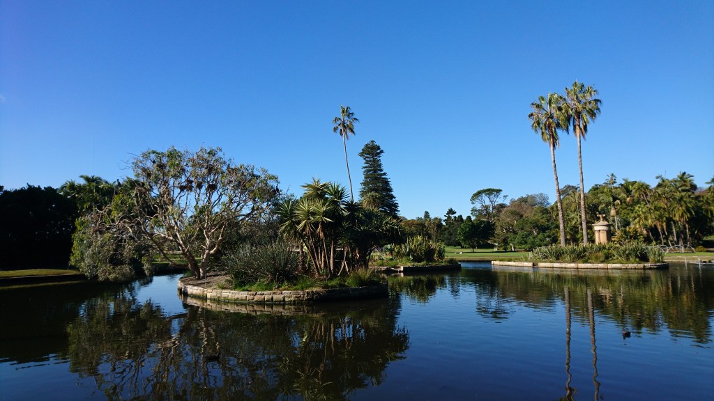 jardin botanique Sydney étang