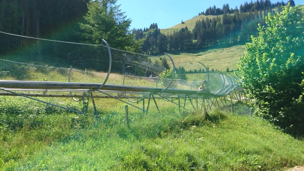 Luge d'été Moléson