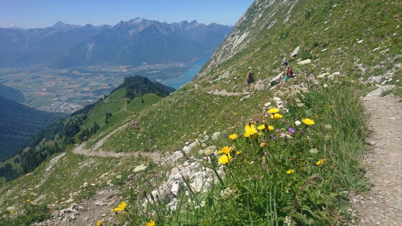 Randonnée Rochers de Naye