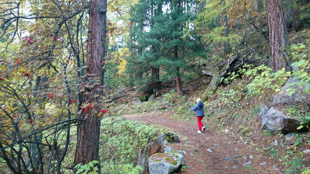 enfant dans la forêt de Zermatt