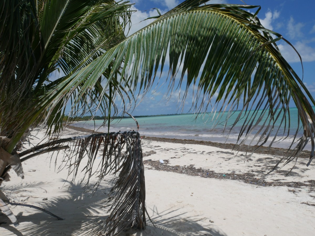 Mexique : la Riviera Maya en&nbsp;famille