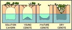 formation cenote