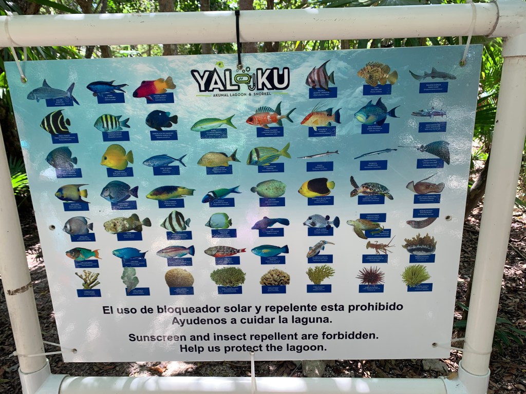 poissons laguna yalku