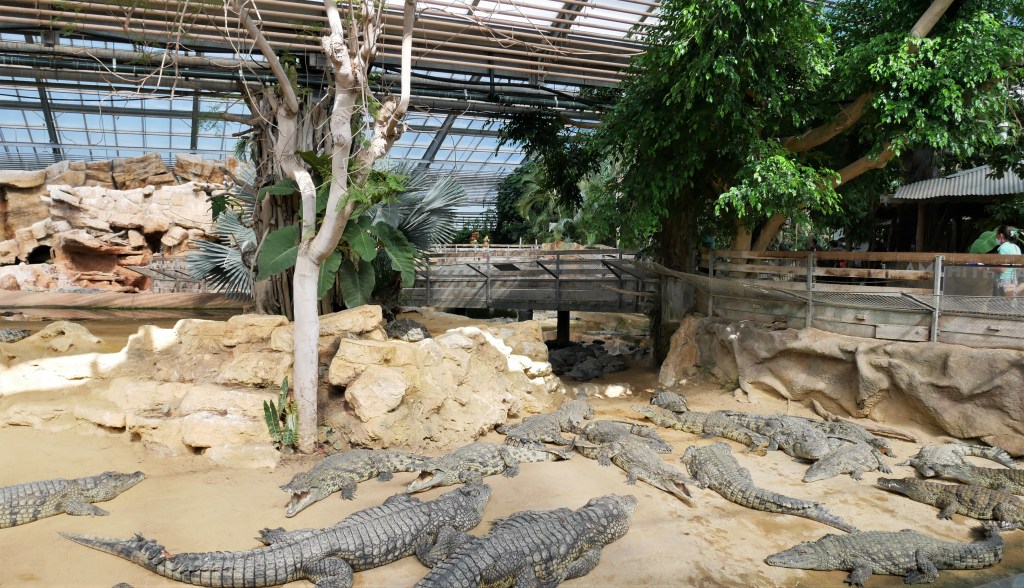 Ferme aux crocodiles
