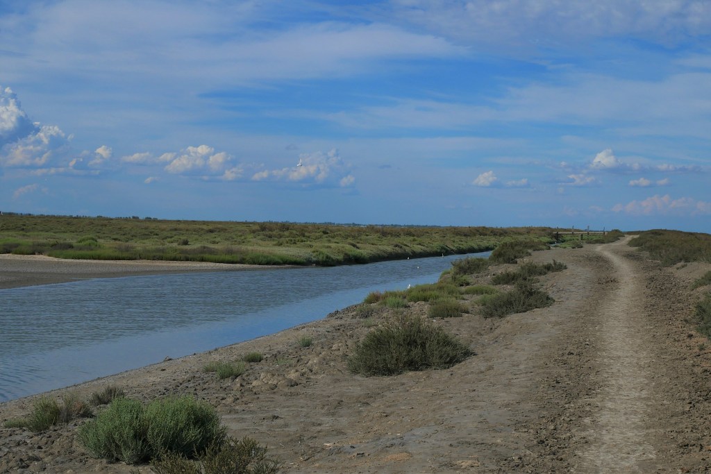 Chemin pédestre digue à la mer
