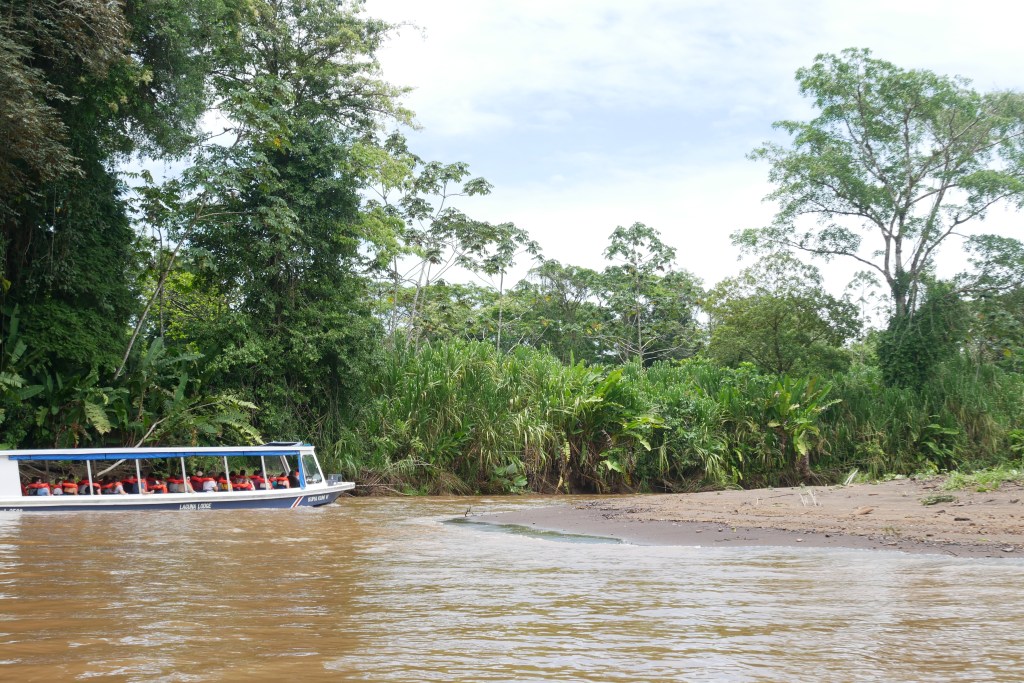 Bateau Tortuguero