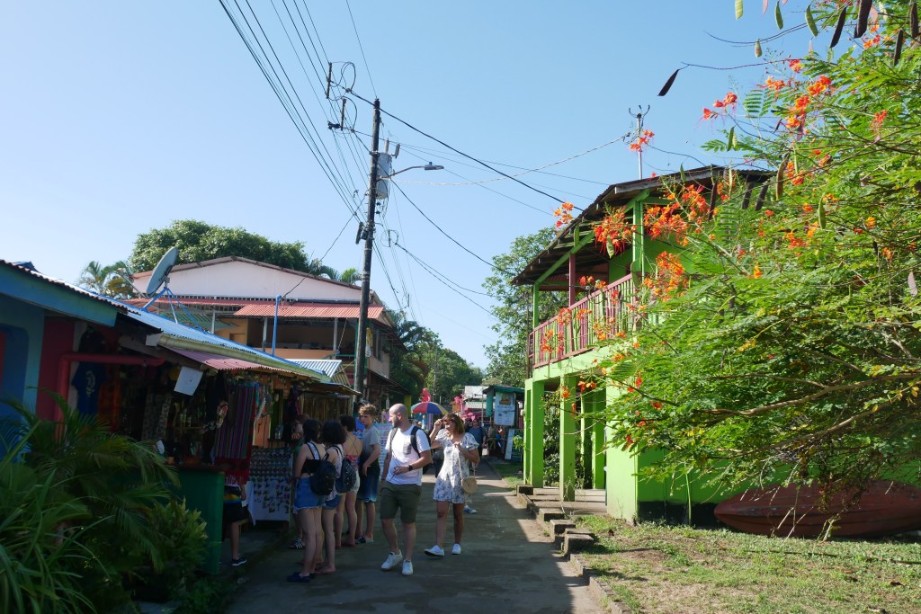 Rue Tortuguero