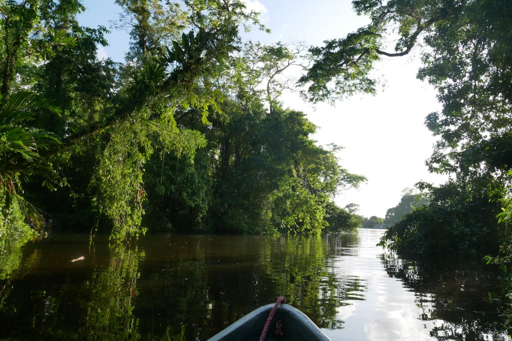 Canaux Tortuguero