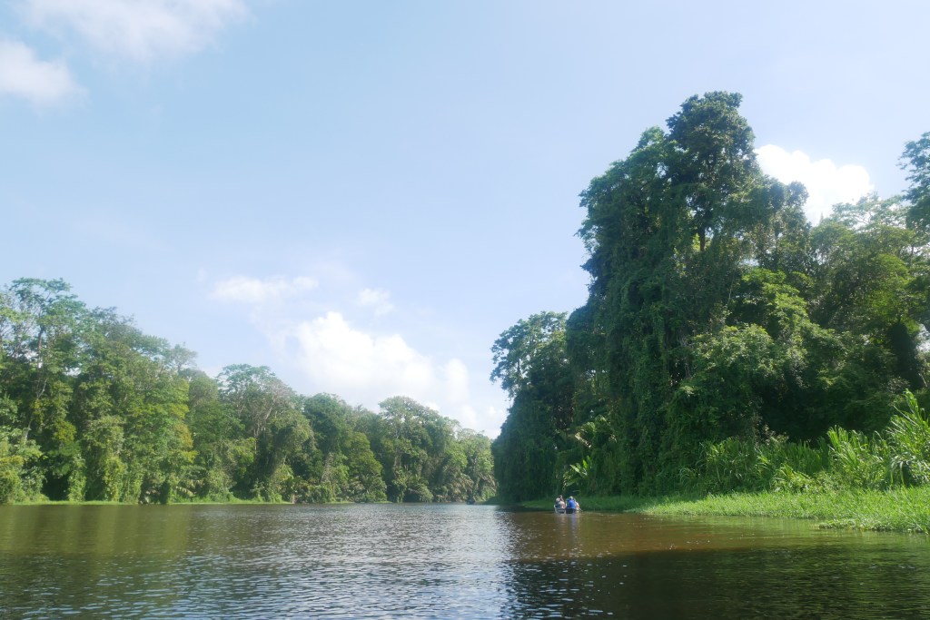 Canaux Tortuguero