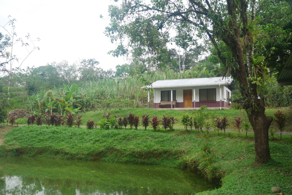 Bungalow finca sura