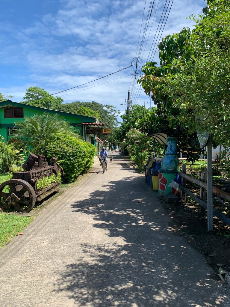 Rue Tortuguero