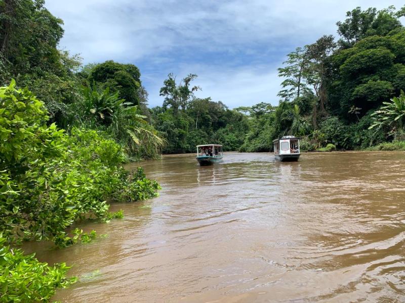 A la découverte de la vie sauvage dans le parc national de&nbsp;Tortuguero