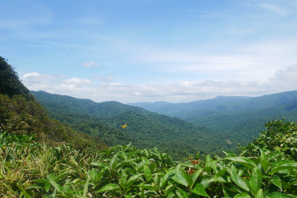 forêt des nuages Monteverde