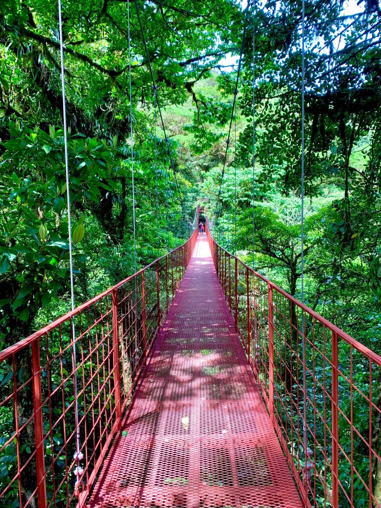 pont suspendu rouge monteverde