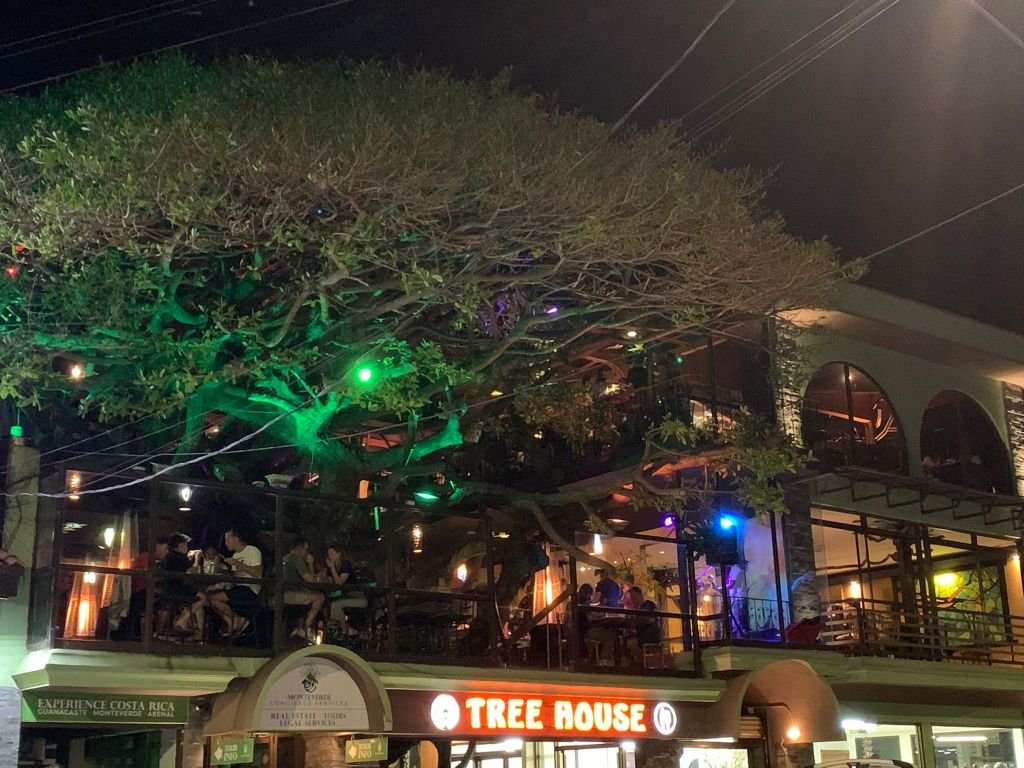 restaurant tree house