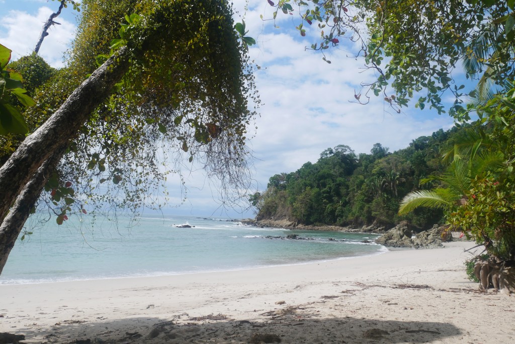 plage manuel antonio