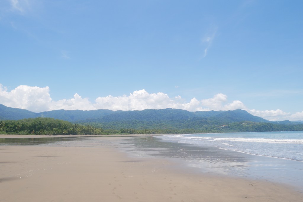 plage marino ballena
