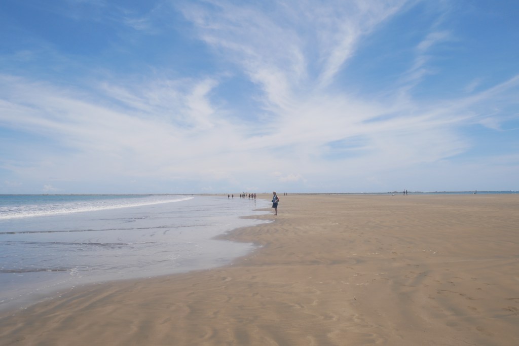 plage marino ballena