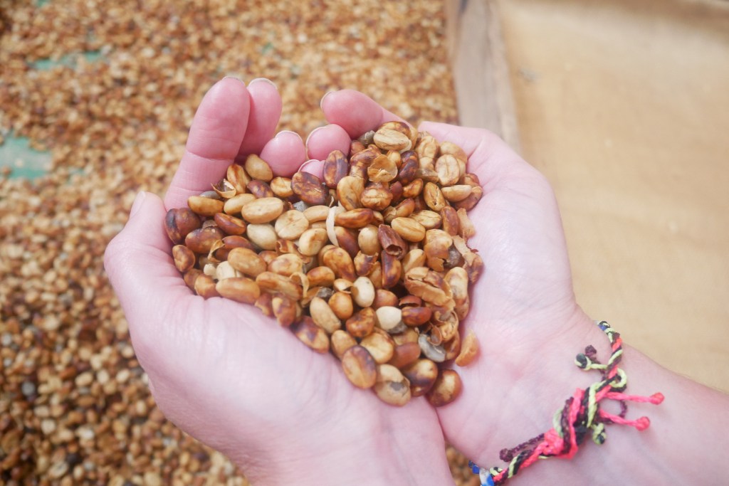 coeur grains de café