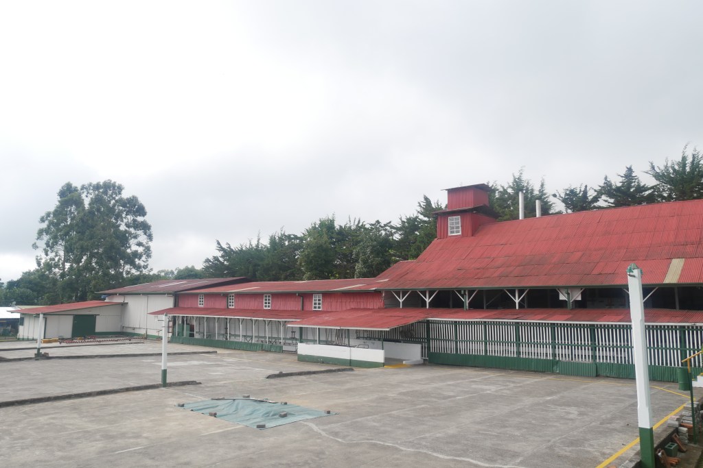 bâtiment plantation café