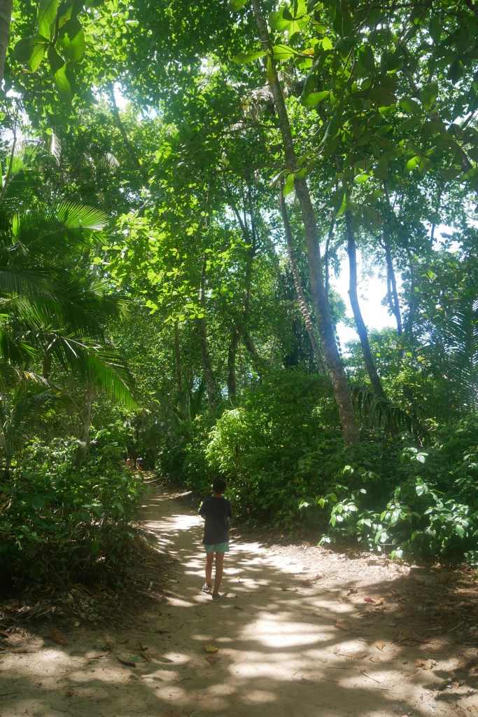 enfant dans forêt parc national Cahuita