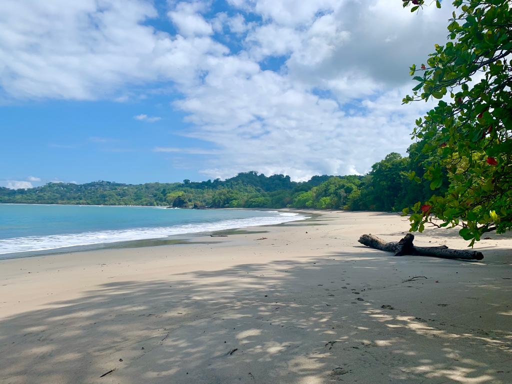 plage manuel antonio