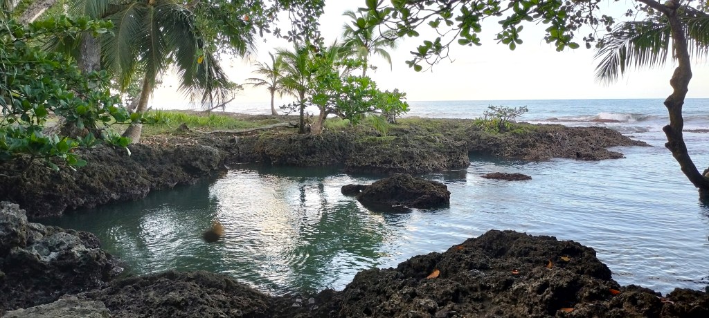 Piscine naturelle Cahuita