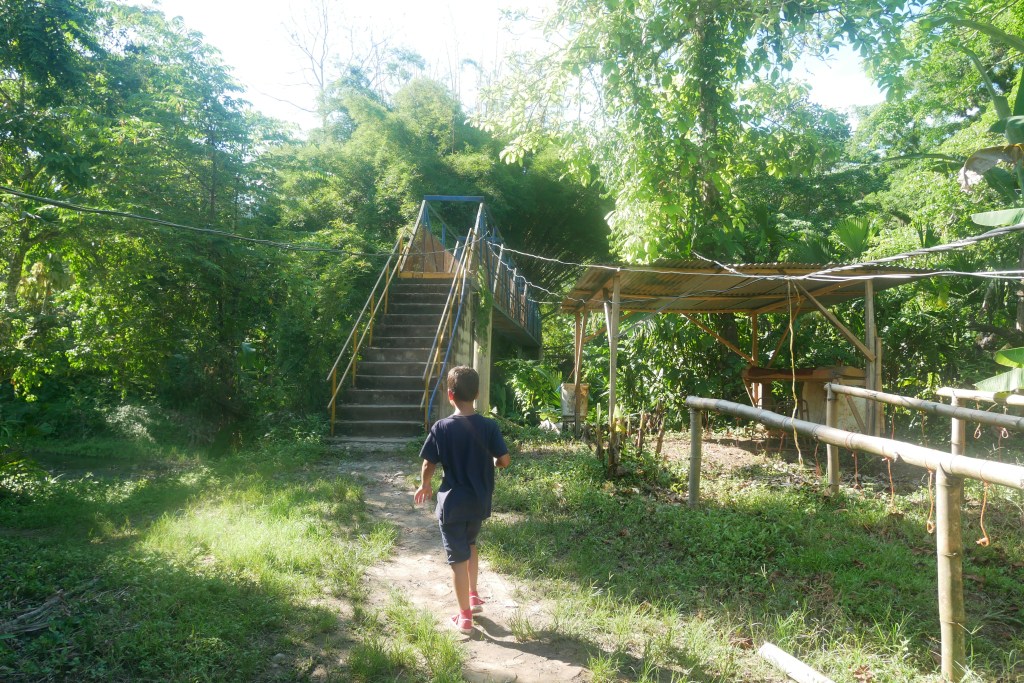 Enfant sur un sentier devant un pont entouré d'arbres