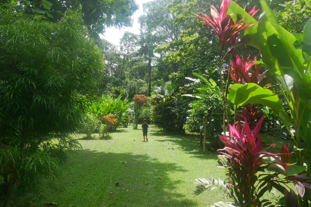 jardin heliconia island