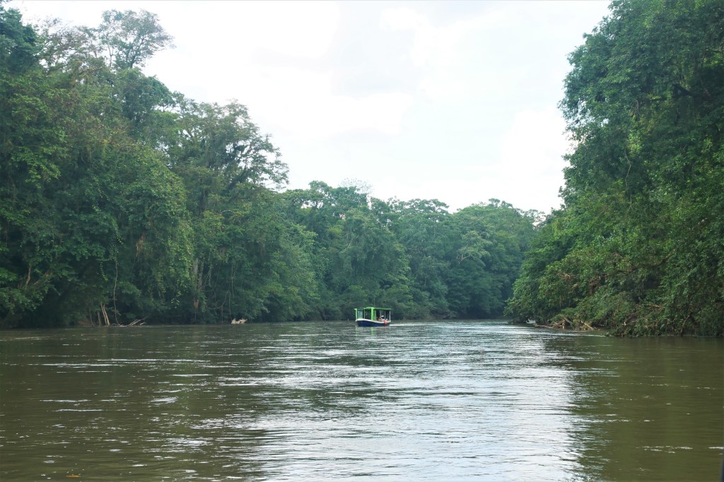 bateau sur le rio Sarapiqui
