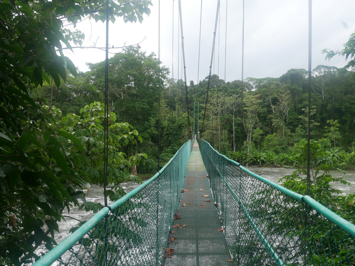 De retour dans la vallée de&nbsp;Sarapiquí