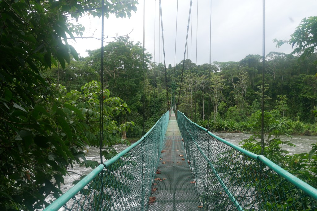 Pont suspendu de Tirimbina