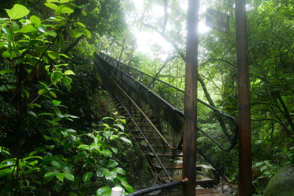 escalier suspendu dans la forêt