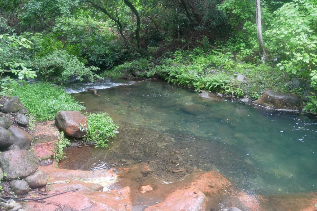 Poza Roja Hacienda Guachipelin