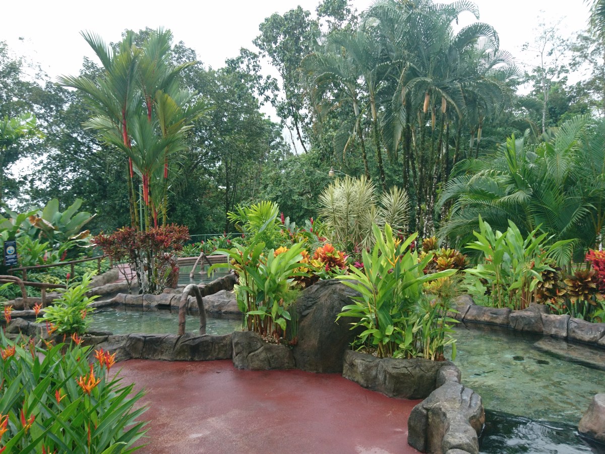 La région d’Arenal, entre bains thermaux et refuge&nbsp;animalier