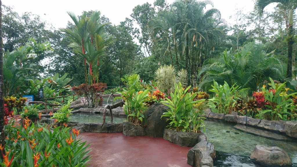 bassins thermaux et plantes à Los Laureles