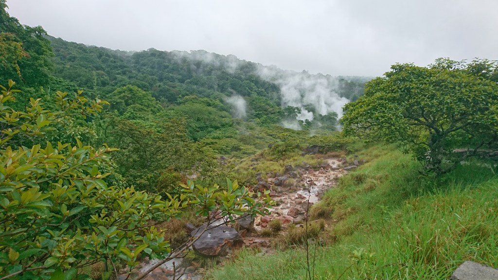 forêt et pierres rouges du parc Rincon de la Vieja