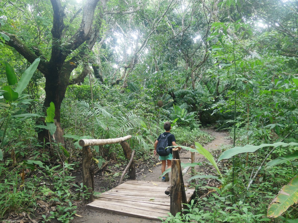 Le refuge de Curú, entre randonnée et découverte de la&nbsp;bioluminescence