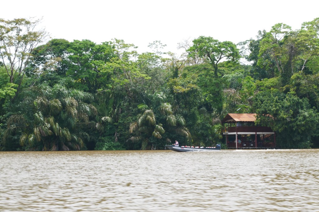 Maison sur piloti au bord de la rivière à Tortuguero, bateau sur la rivière, forêt dans le fond