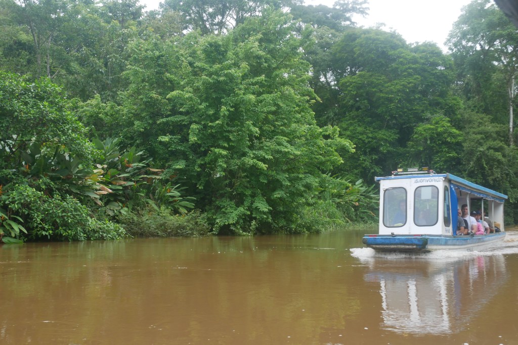 bateau sur la rivière Tortuguero avec forêt en fond