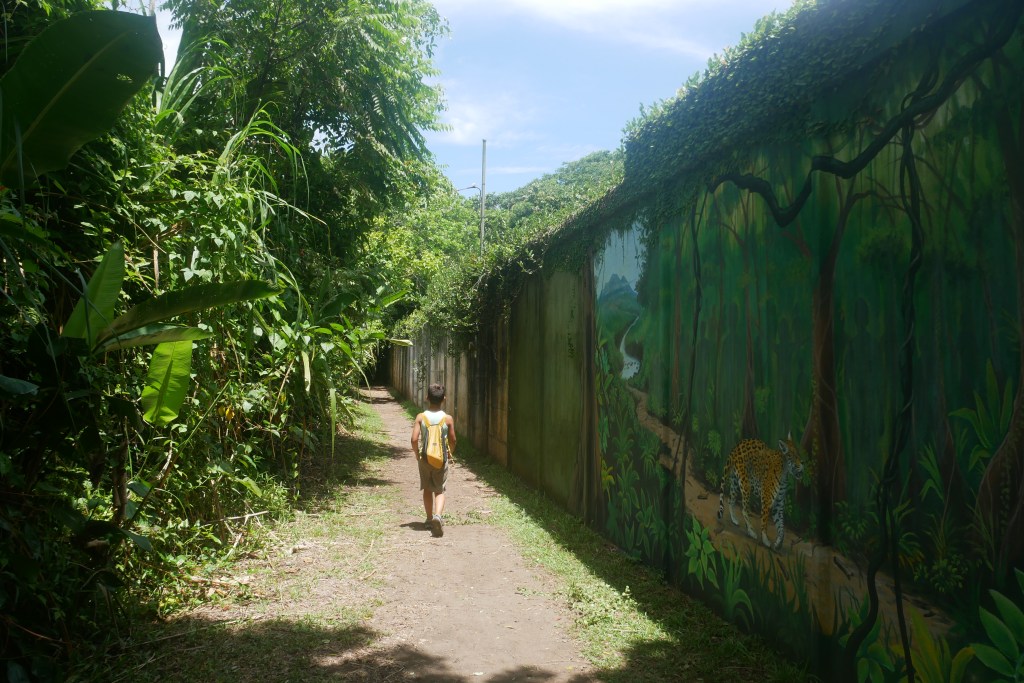 enfin sur un sentier de tortuguero, arbres sur la gauche et mur avec peinture d'un jaguar à droite