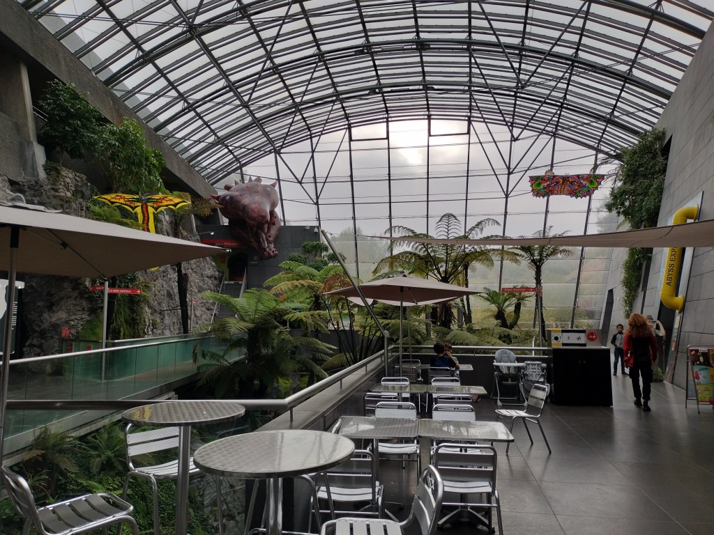 tables et chaises au premier plan
arbres avec fond d'une serre à l'arrière