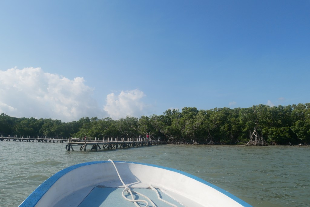 avant de bateau arrivant au ponton de cenote yalahau