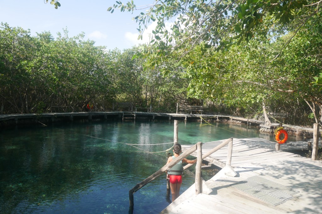 enfant descendant escalier dans l'eau du cenote yalahau, arbres en fond