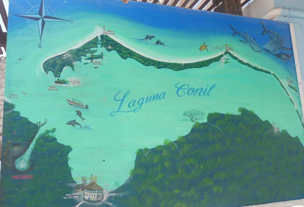 dessin plan ile Holbox et Laguna Conil