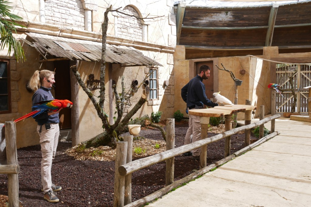 spectacle perroquet Le Pal